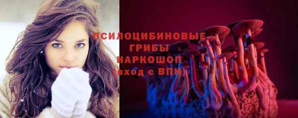 амф Алзамай