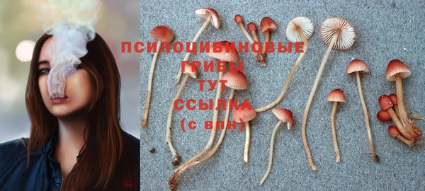 тгк Алексин