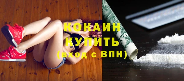 тгк Алексин
